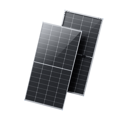 RENOGY Bifacial 220 Watt 12 Volt Monocrystalline Solar Panel