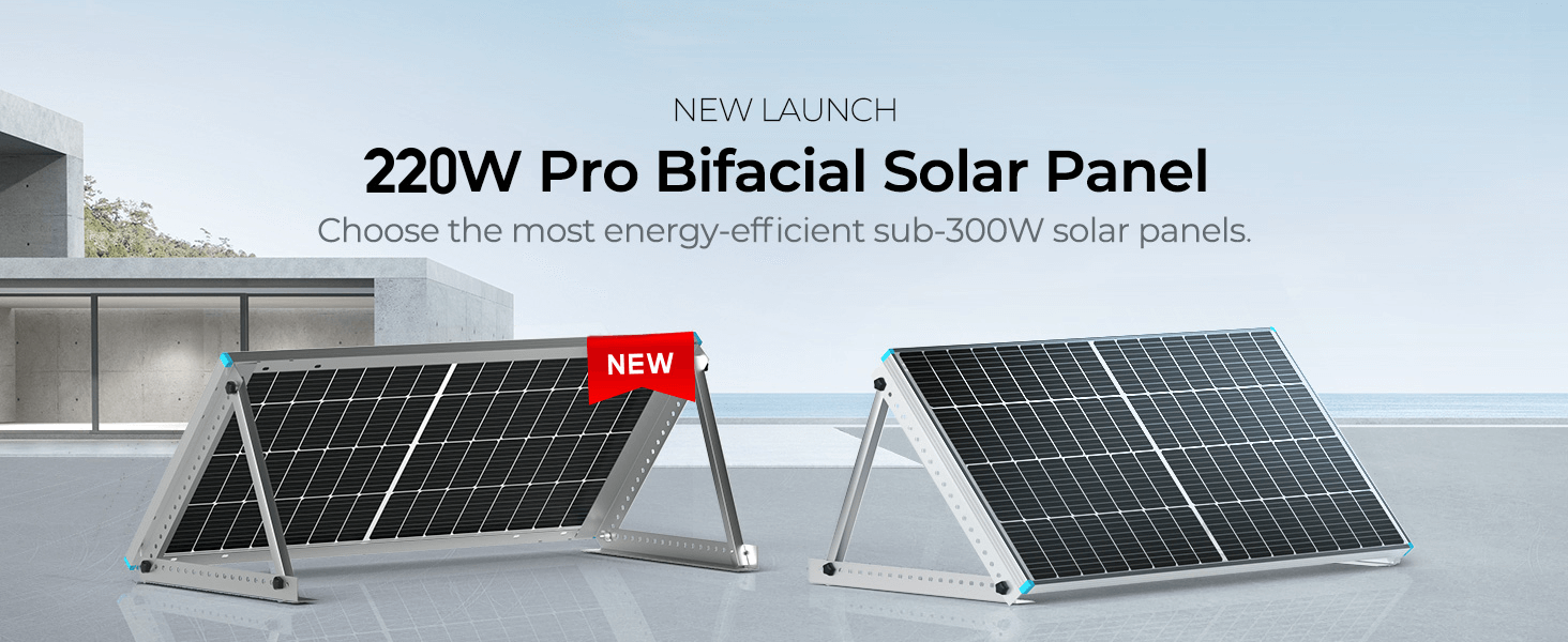 RENOGY Bifacial 220 Watt 12 Volt Monocrystalline Solar Panel