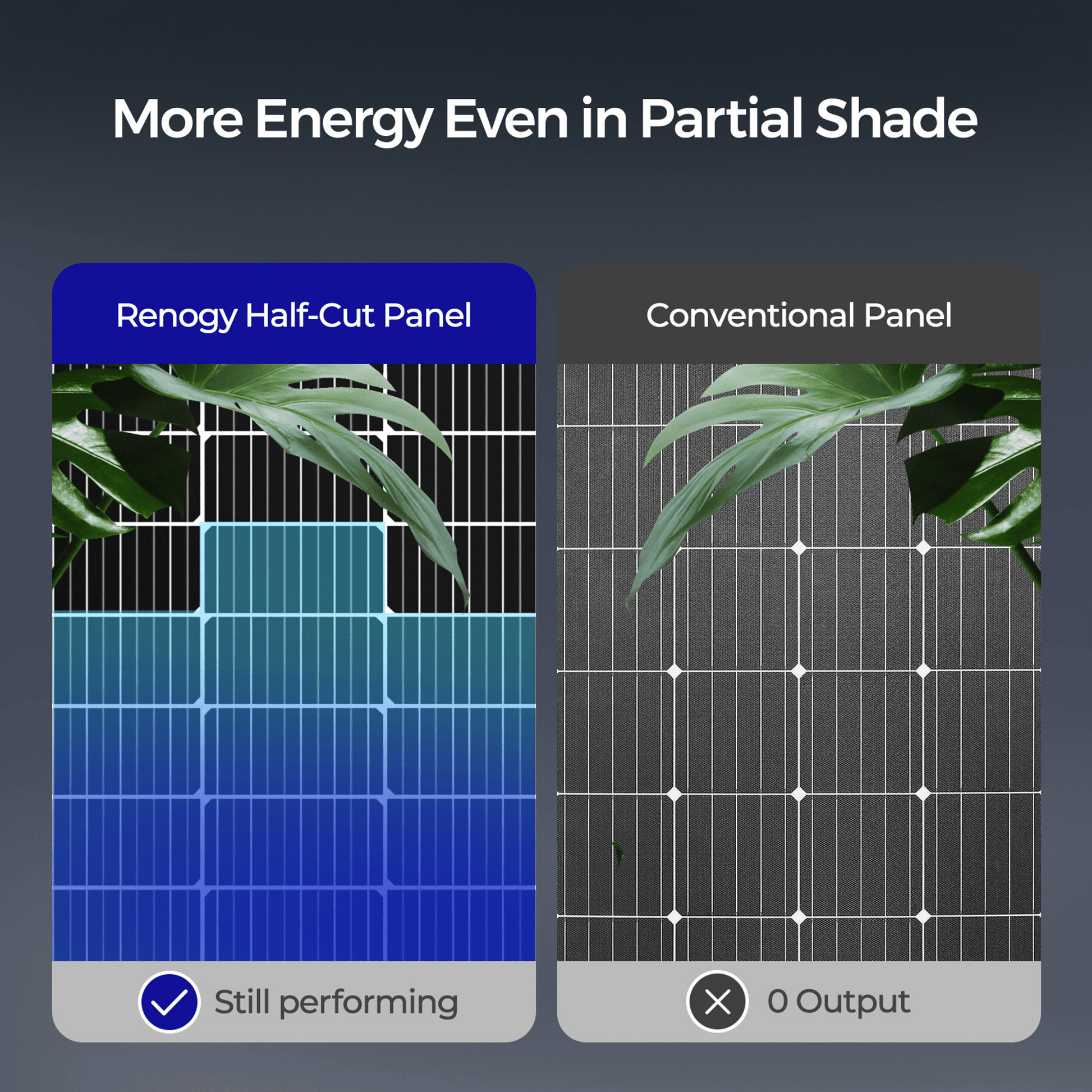 RENOGY Bifacial 220 Watt 12 Volt Monocrystalline Solar Panel