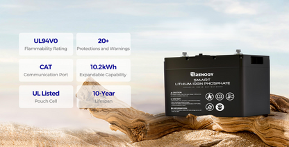 RENOGY 12V 100Ah Smart Lithium Iron Phosphate Battery